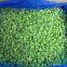 Frozen green pepper