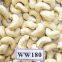 Cashew Nuts Ww450 W180/ W320/ W240/ Good Material for EU Quality