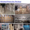 Factory wholesale sunlong ankai bus spare parts system intake valve D30-1003111B engine intake and exhaust valves