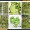 Leader carrot/kiwi fruit slicerautomatic/potato chips slicing machine with CE&ISO