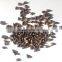 High quality buckwheat