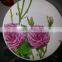 hot! ceramic decorate dinner plate with custom design for gifts
