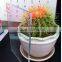 Top grade clear float glass / tempered glass / tinted glass factory price