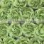 Soft Green ,Large Handmade Mulberry Paper Flower, Wedding Party, Scrap-booking Crafts