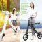 240w cheap price 2015 best seller electric folding scooter