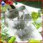 UV resistant spun-bonded pp non woven fabric PP Nonwoven for Agriculture