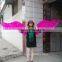 Artificial Feathers Costume Wings