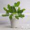 bonsai tree artificial flower table decoration fake bonsai tree for garden ornaments
