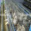 poultry farm pullet chicken rearing cage