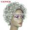 In stock silver grey wig, low price 100% human hair fashional short wig for women