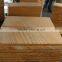 China's Yellow Wood Veins Sandstone, Honed, Natural Split & Mushroom Surface