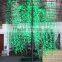 2016 Outdoor Led Tree Lights,Williow Tree Light D3*h2.5m