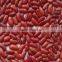 we are supply English red kidney beans with best price for sale