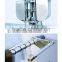 DPB-250 Flat Type Chocolate Packaging Machine/Automatic Liquid Packaging Machine/Plastic Packaging Machine