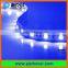 30LEDs/60LEDs SMD5050 blue color LED strip 12VDC/24VDC