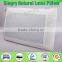 Air Wholesale Pillow