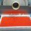 S406PB Medium Scale Paintball Making Machine Sale encapsulation Machine
