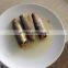 125g*50tins canned sardine in vegetable oil buying sardines