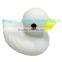 Rubber Duck Bath Toy, Floating Duck Wholesale Vinyl Toy