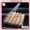 30 Holes wholesale transparent plastic egg tay