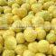 Chinese new fresh honey pomelo