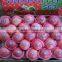 Fresh Fuji Apple Supplier in China