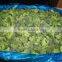 supply new crop iqf frozen broccoli