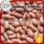 Raw peanut kernel 1kg price