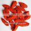 GMP Certified Manufacturer Supply Dry Goji Berry