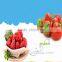 Wholesale Dried strawberry chips with BRC Certificate