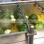 Hp-360 Vegetable And Fruit Brush Washing Washer And Drying Dryer Machine