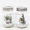 Clear glass storage jar with glass lid
