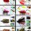 fishing tackle fishing lure spinner bait