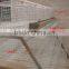 poultry farm layer chicken cage