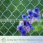 Factory Direct Sale 9 Gauge Chain Link Mesh Fence