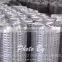 Welded wire mesh for construction building