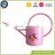 Plant galvanized colour metal garden watering can