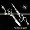 Professional Hair Dressing Scissors With Silver