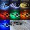 LED Strip with RF remote control Dimmer 12V Adapter 5Meters LED Strip Light 5050 60LEDs/m White,Warm white,Red,Blue