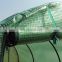Wholesale 130gsm-200gsm green &white transparent plastic tarpaulin garden protection