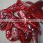 Almond,Black pepper,red peeper Seed Oil Press Machine/Oil Expeller /Oil Press