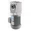 AC 220V 3 Phase 400W Induction Nissei Gear Motor With Right Angle Hollow Shaft