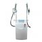6 Handles cryolipolysis weight loss machine/Cool tech Fat Freezing slimming machine home device