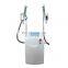 6 Handles cryolipolysis weight loss machine/Cool tech Fat Freezing slimming machine home device