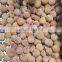 Frozen Whole Lychee/ Lychee Meat - Best Price - High Quality From Vietnam