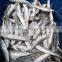 Good quality IQF sardine fish export for fishing bait