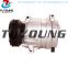 TUYOUNG China factory  car ac compressor fit HARRISON/DELPHI V5 8200424250   1140558