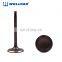 High Wear Resistance Auto Engine Parts Qd32 Engine Valve
