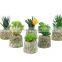 Hot Sale Korean Cactus Potted Suculentas Planta Mini Vaso Suculenta Plantas Artificiales Para Apared Succulent Plants With Pot