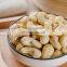 Wholesale Cheap Price Cashew Nut Roasted Cashew Seed Exporter
